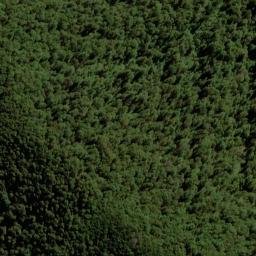 Satellite imagery of Y (Linkwater SD), NZ