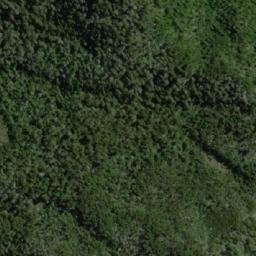 Satellite imagery of Cerro Ballena, CL