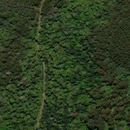 Satellite imagery of Cottons Hill, AU
