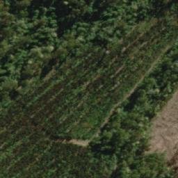 Satellite imagery of Rayners Hill, AU