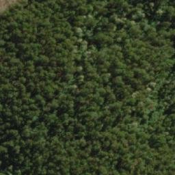 Satellite imagery of Rayners Hill, AU