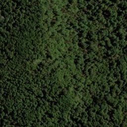 Satellite imagery of Wells Ridge, NZ