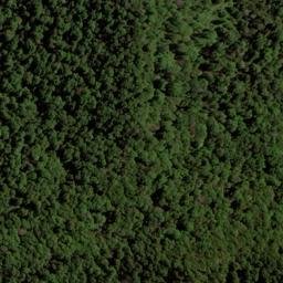 Satellite imagery of Wells Ridge, NZ