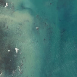 Satellite imagery of Horewai Point, NZ