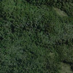 Satellite imagery of Cerro Ballena, CL