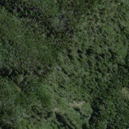Satellite imagery of Cerro Ballena, CL