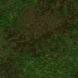 Satellite imagery of Mount Albert, AU