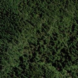 Satellite imagery of Wells Ridge, NZ