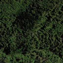 Satellite imagery of Wells Ridge, NZ