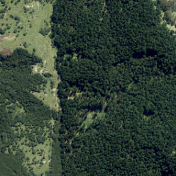 Satellite imagery of Luna Rock, NZ