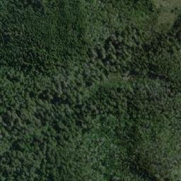 Satellite imagery of Cerro Ballena, CL