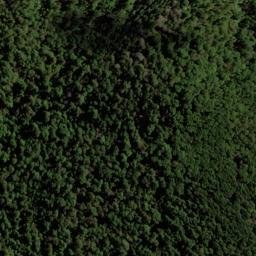 Satellite imagery of Wells Ridge, NZ