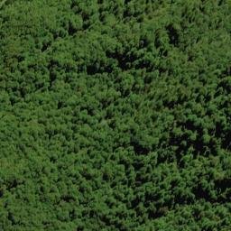 Satellite imagery of X MT ROBERTSON, NZ