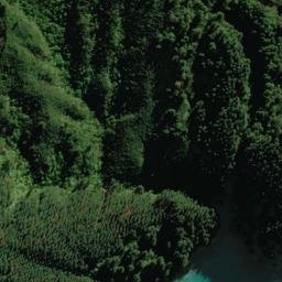Satellite imagery of 2242, NZ