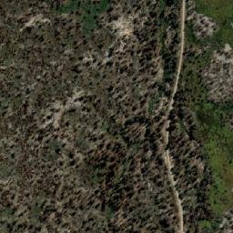 Satellite imagery of Ferntree Hill, AU