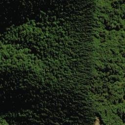 Satellite imagery of X MT ROBERTSON, NZ