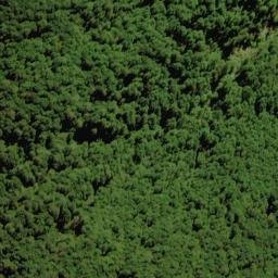 Satellite imagery of X MT ROBERTSON, NZ