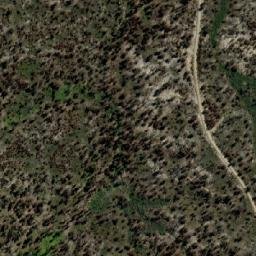 Satellite imagery of Ferntree Hill, AU