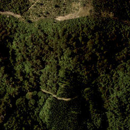 Satellite imagery of W (Wakamarina SD), NZ