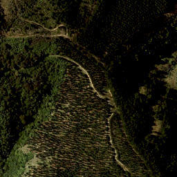 Satellite imagery of W (Wakamarina SD), NZ