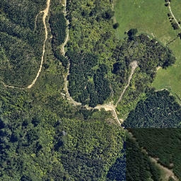Satellite imagery of U (Linkwater SD), NZ