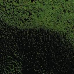 Satellite imagery of X MT ROBERTSON, NZ