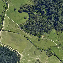 Satellite imagery of U (Linkwater SD), NZ