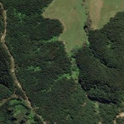 Satellite imagery of U (Linkwater SD), NZ