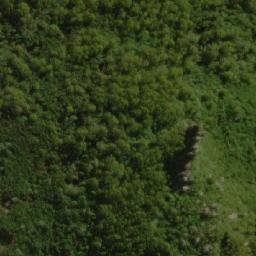 Satellite imagery of Mount Young, AU