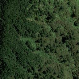 Satellite imagery of X (Onamalutu SD & Wakamarina SD), NZ