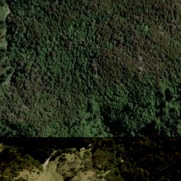 Satellite imagery of Champion Mine, NZ