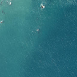 Satellite imagery of Honeycomb Rock, NZ