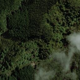 Satellite imagery of 2161, NZ