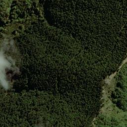 Satellite imagery of 2161, NZ