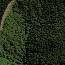 Satellite imagery of 2161, NZ