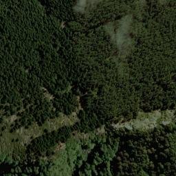 Satellite imagery of 2161, NZ