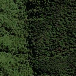 Satellite imagery of 2161, NZ