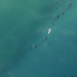 Satellite imagery of Kairingaringa, NZ