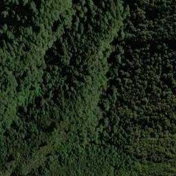 Satellite imagery of 2161, NZ