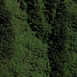 Satellite imagery of 2161, NZ