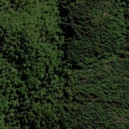 Satellite imagery of 2161, NZ