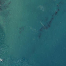 Satellite imagery of Kairingaringa, NZ