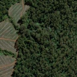 Satellite imagery of Green Hillock Point, AU