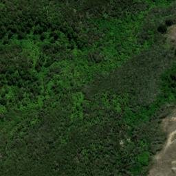 Satellite imagery of WW (Cloudy Bay SD), NZ