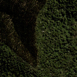 Satellite imagery of Pyramid Rock, NZ