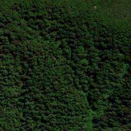 Satellite imagery of WW (Cloudy Bay SD), NZ