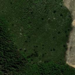 Satellite imagery of WW (Cloudy Bay SD), NZ