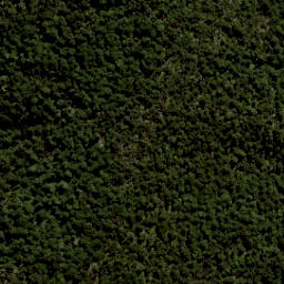 Satellite imagery of Pyramid Rock, NZ