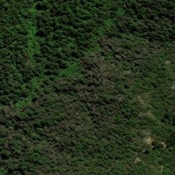 Satellite imagery of WW (Cloudy Bay SD), NZ