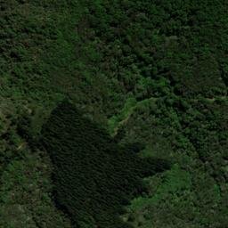 Satellite imagery of WW (Cloudy Bay SD), NZ